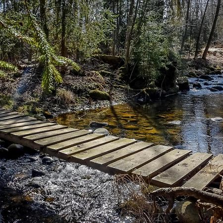 U Pawlikowskich Poronin Bagian luar foto